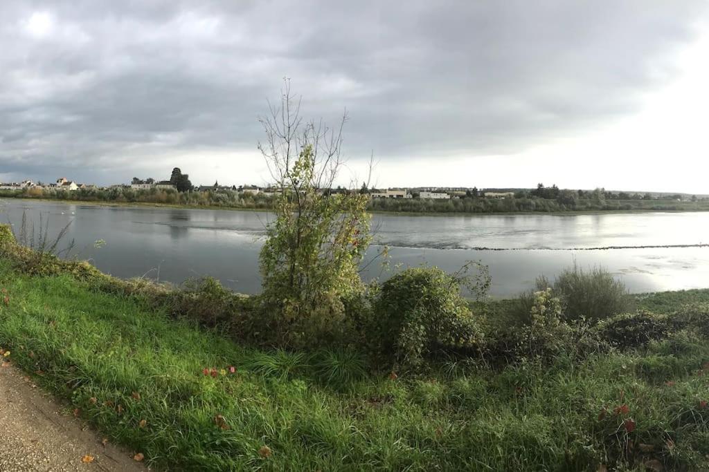 Nid Douillet Bord De Loire Apartment Blois Ngoại thất bức ảnh